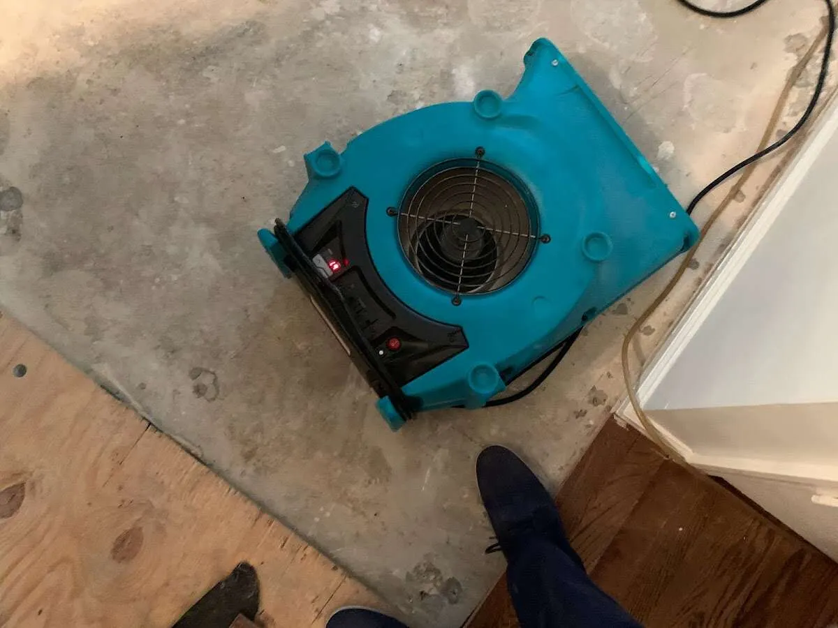 Air mover drying subfloor during Leak Detection & Repair in Windsor